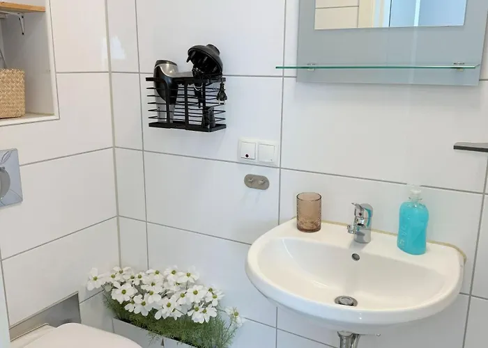 Volante Terra Bremen-findorff